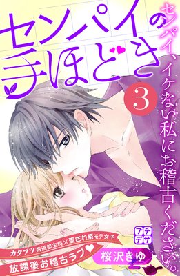 ����ѥ��μ�ۤɤ� �ץ��ǥ� 3��