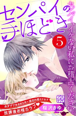 ����ѥ��μ�ۤɤ� �ץ��ǥ� 5��