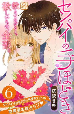 ����ѥ��μ�ۤɤ� �ץ��ǥ� 6��