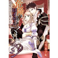 危険なロイヤルマリッジ 溺愛王子に奪われて(分冊版) 【第2話】 求め合う初夜