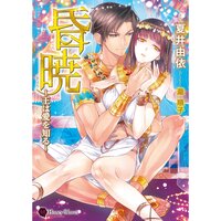 【絵ノベル】昏暁〜王は愛を知る〜