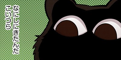 ������������ 13�ڥե륫�顼��