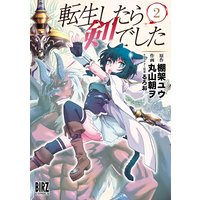 転生したら剣でした (2)