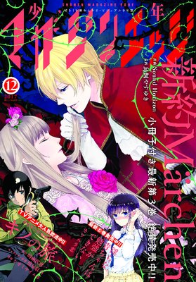 ��ǯ�ޥ����󥨥å� 2017ǯ12��� [2017ǯ11��17��ȯ��]