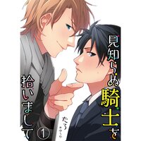 【絵ノベル】見知らぬ騎士を拾いまして