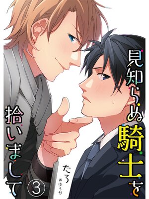 【絵ノベル】見知らぬ騎士を拾いまして【単話】 3