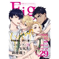 Fig vol.29