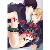 【バラ売り】ヤンキーヒメが堅物に○○されてしまう件について