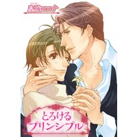 【バラ売り】とろけるプリンシプル