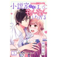小説家さまは、もんもんしたがる 分冊版 3巻