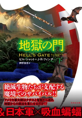 �Ϲ�����