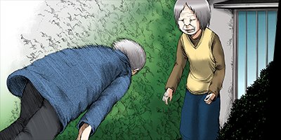 ����� 10�ڥե륫�顼��