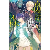 魔法使いの住む森