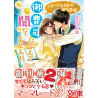 御曹司だなんて聞いてません!!〜エリートなカレの一途な愛情〜