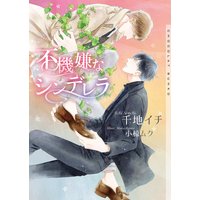 不機嫌なシンデレラ【イラストあり】