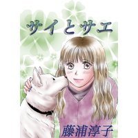 サイとサエ