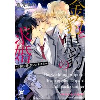 金豹と黒豹の求婚〜月夜に甘く誓いのキスを〜【イラスト入り】