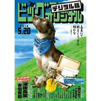 ビッグコミックオリジナル 2018年10号(2018年5月2日発売)