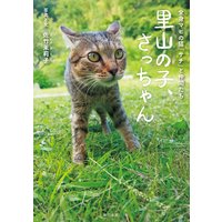 里山の子、さっちゃん