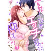 官能小説家はエッチな欲求を抑えきれない。(3)