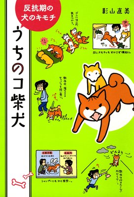 �����Υ��Ƹ� �Ƹ�2ɤ�Τ�����餷 �����٤����֤��ݤ狼�ꡪ