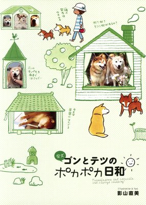 �Ƹ�����ȥƥĤΥݥ��ݥ�����