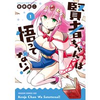 賢者ちゃんは悟ってない!