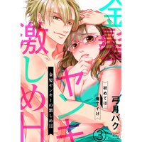 金髪ヤンキーの激しめH〜初めては俺でイけ3