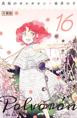 ����Υݥ�ܥ��� ʬ���� 16��