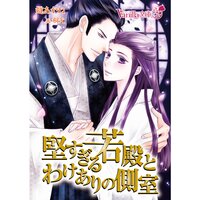【絵ノベル】堅すぎる若殿とわけありの側室