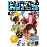 ビッグコミックオリジナル 2018年16号(2018年8月4日発売)
