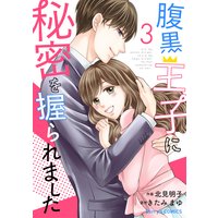 腹黒王子に秘密を握られました 3巻