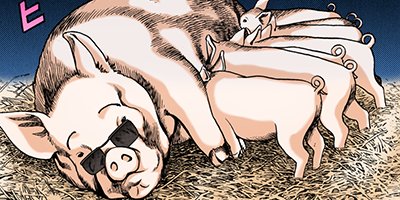 �Ť��ʤ�ɥ� 294�ڥե륫�顼��