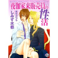 【絵ノベル】夜伽家来販売員の性活
