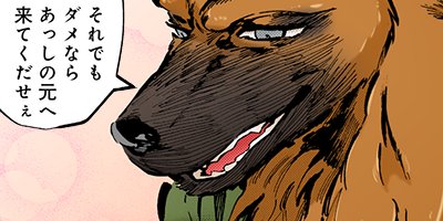 ����ȼ�ɤ�θ� 24�ڥե륫�顼��