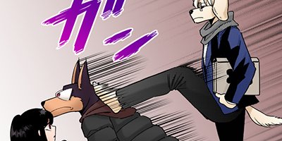 ����ȼ�ɤ�θ� 26�ڥե륫�顼��