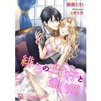 緋色の王太子と盗賊姫【書下ろし・イラスト8枚入り】