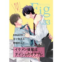 Fig vol.33