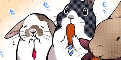 ������������ 23�ڥե륫�顼��