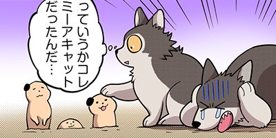 ������������ 24�ڥե륫�顼��