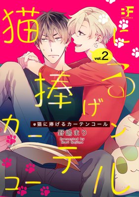 ǭ�������륫���ƥ󥳡��� ��2��