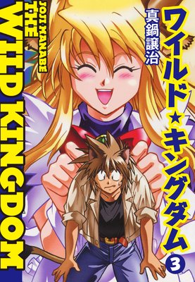 �磻��ɡ����󥰥���3