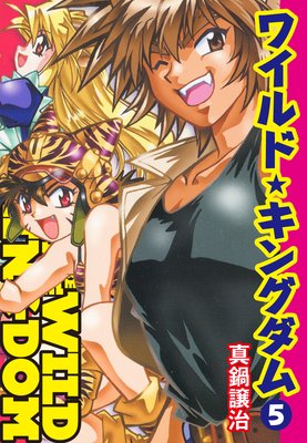 �磻��ɡ����󥰥���