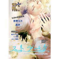 ストラーダ (26)