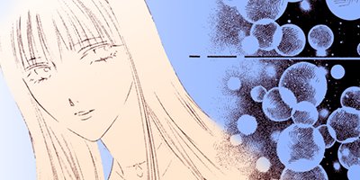 �������ʪ�� 6�ڥե륫�顼��