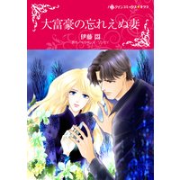 大富豪の忘れえぬ妻