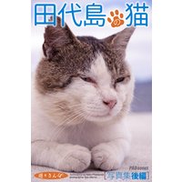 遊々さんぽ 「田代島の猫」写真集 後編