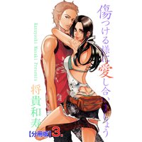 傷つける様に愛し合いましょう【分冊版】 3