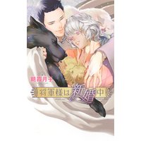 将軍様は新婚中 【イラスト付き】