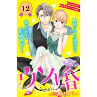 ウソ婚 分冊版 12巻